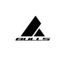 Bulls Logo